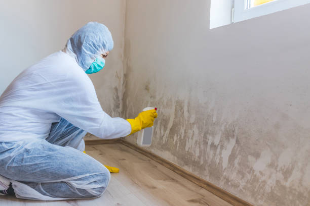 Mold Remediation specialist working in Virginia Beach