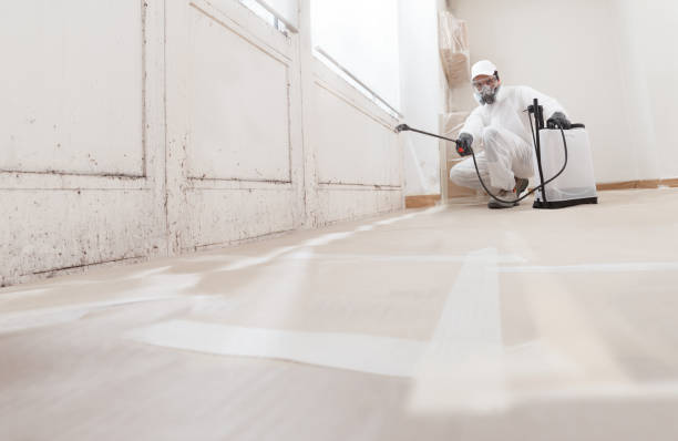 Post-remediation clearance in Virginia Beach